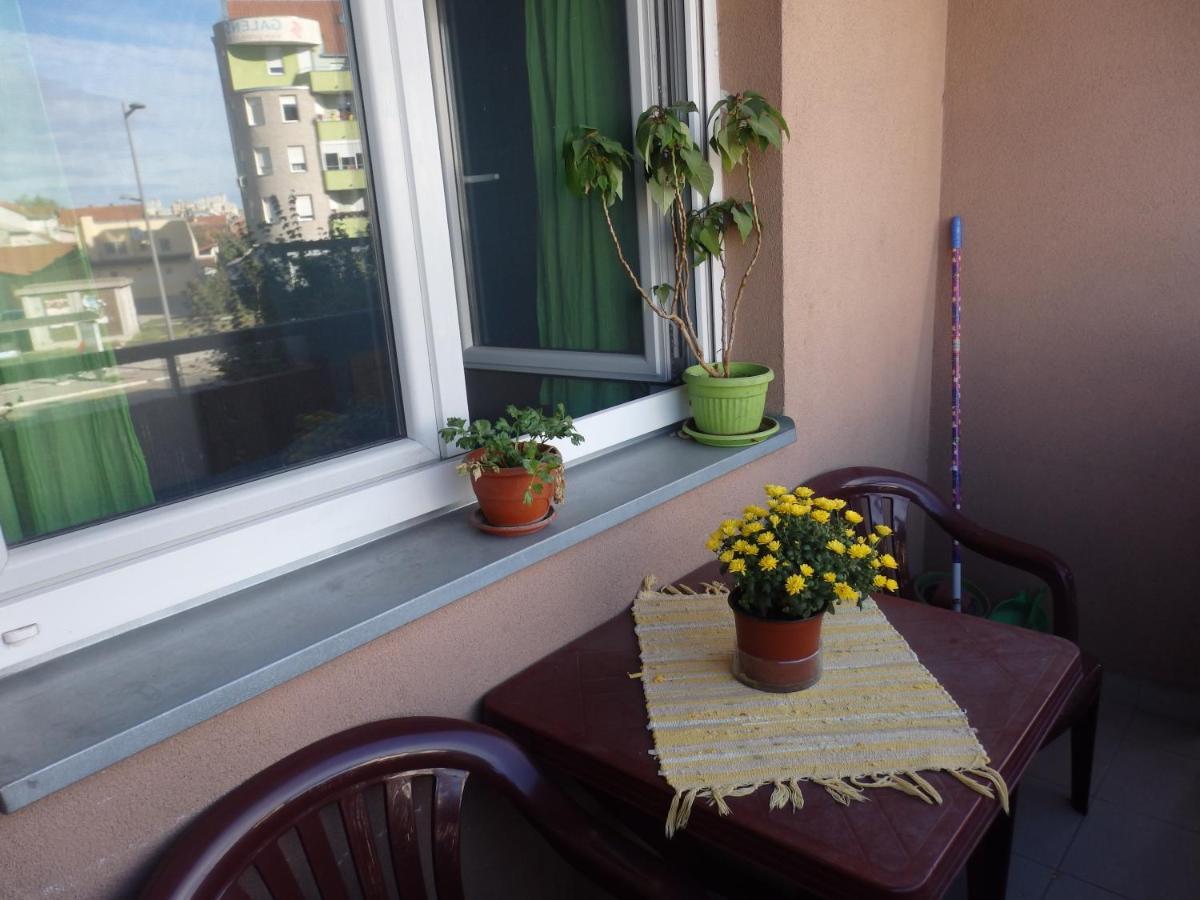 Apartment Erika 2 Nowy Sad Zewnętrze zdjęcie