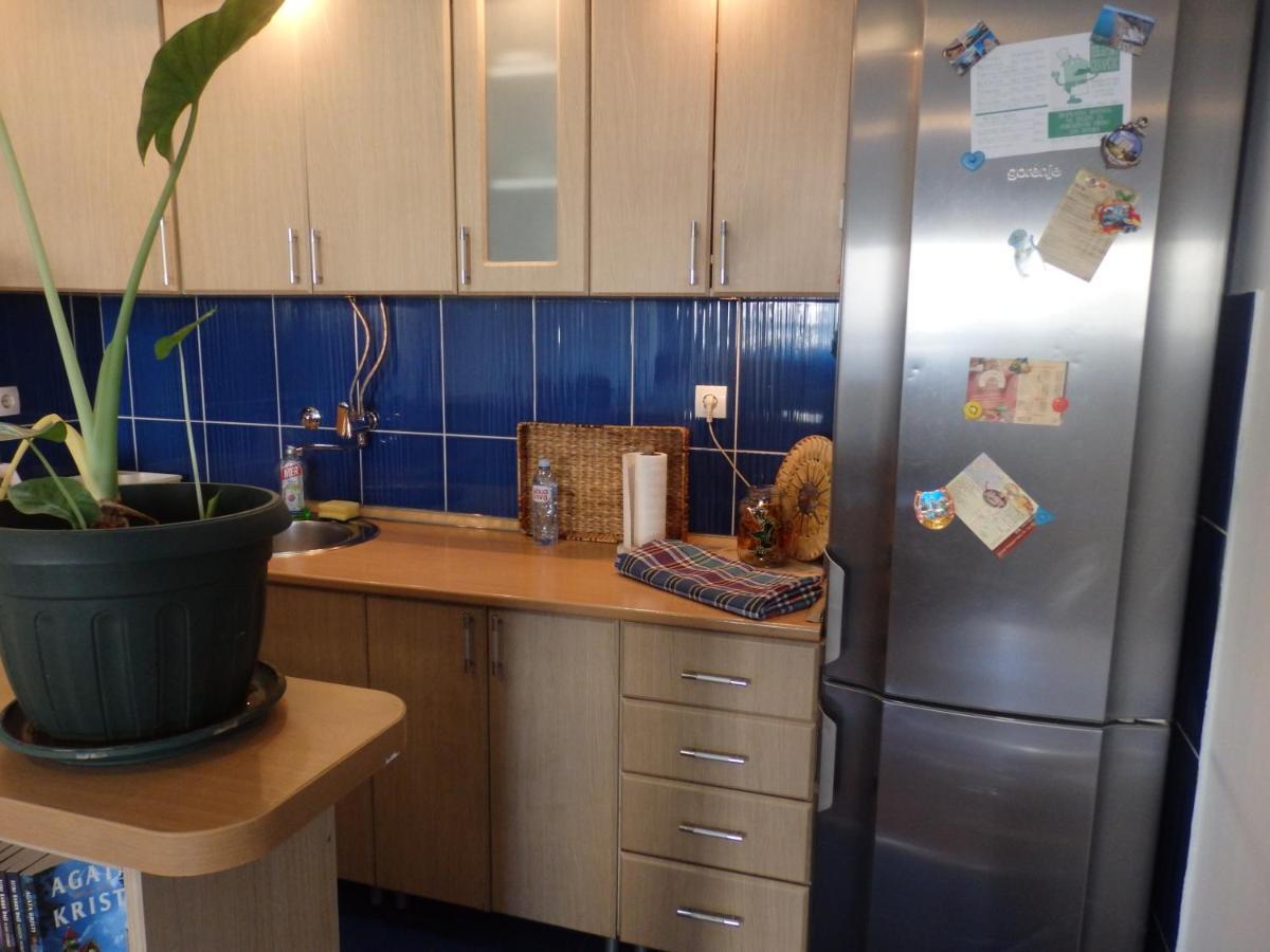 Apartment Erika 2 Nowy Sad Zewnętrze zdjęcie