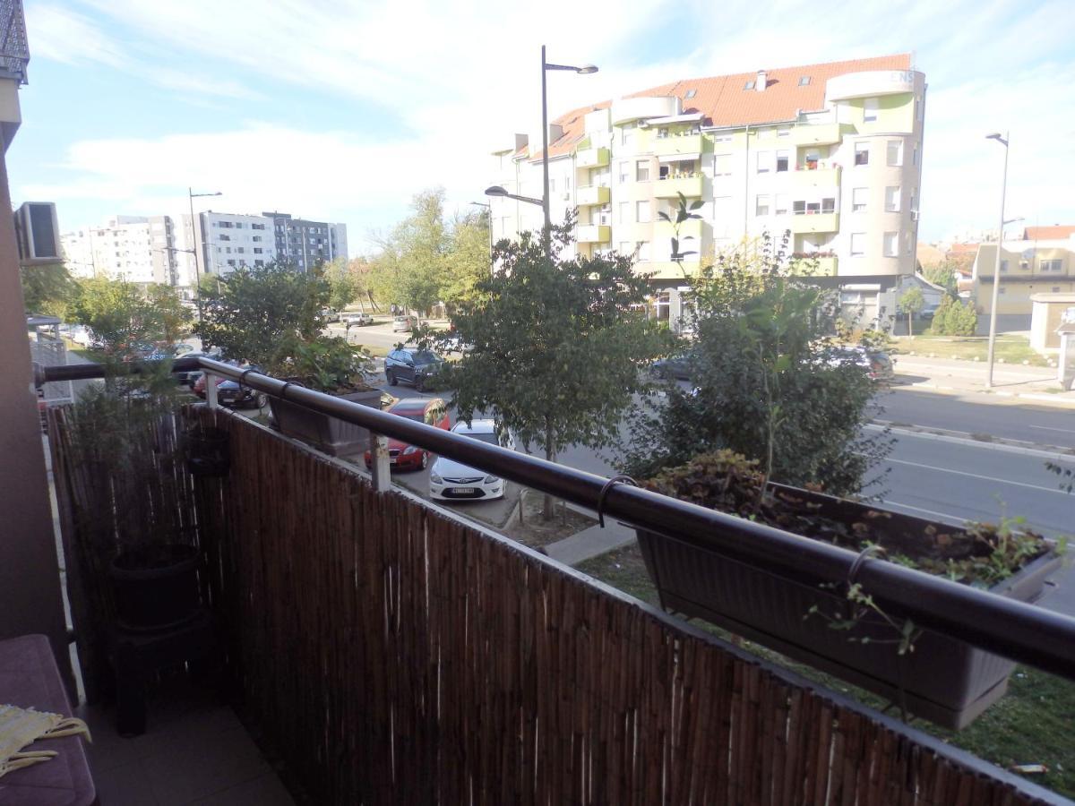 Apartment Erika 2 Nowy Sad Zewnętrze zdjęcie