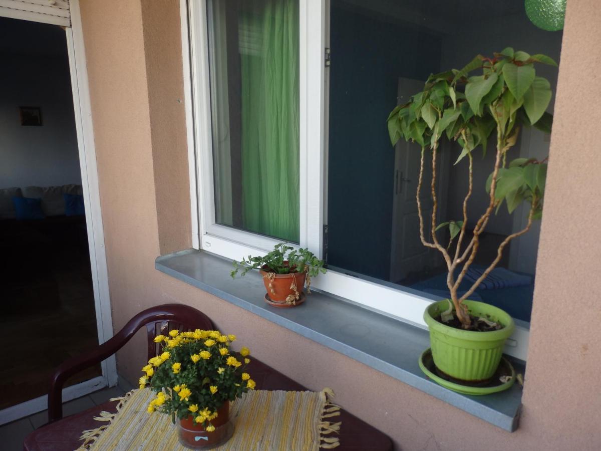 Apartment Erika 2 Nowy Sad Zewnętrze zdjęcie